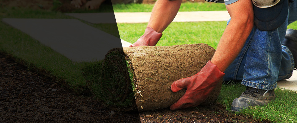 Shoreham Landscapers